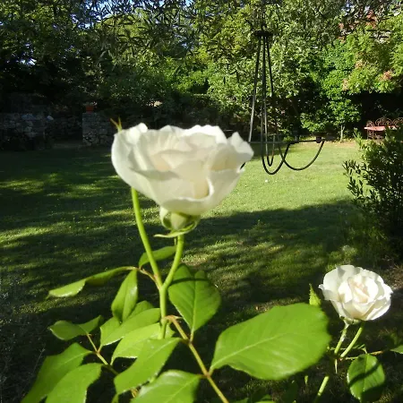 فندق مبيت وإفطار La Bastide D'eulalie *